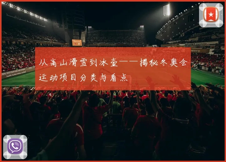 从高山滑雪到冰壶——揭秘冬奥会运动项目分类与看点