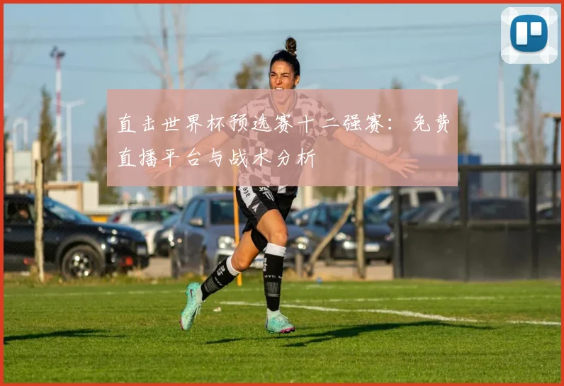 直击世界杯预选赛十二强赛：免费直播平台与战术分析