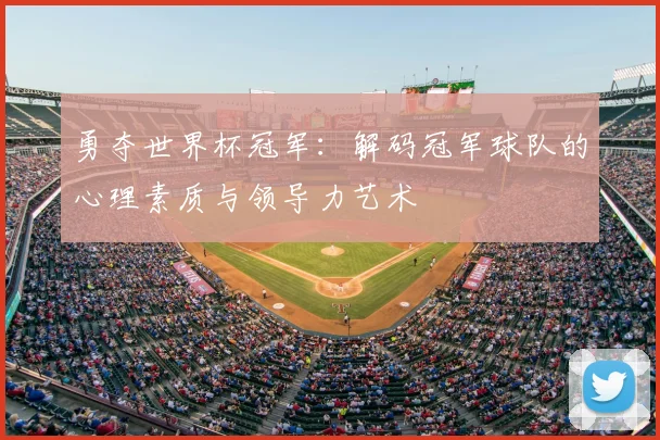勇夺世界杯冠军：解码冠军球队的心理素质与领导力艺术