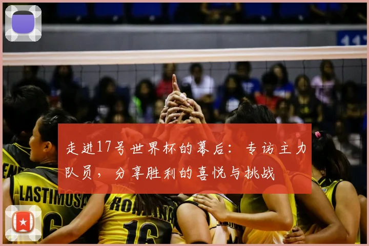 走进17号世界杯的幕后：专访主力队员，分享胜利的喜悦与挑战