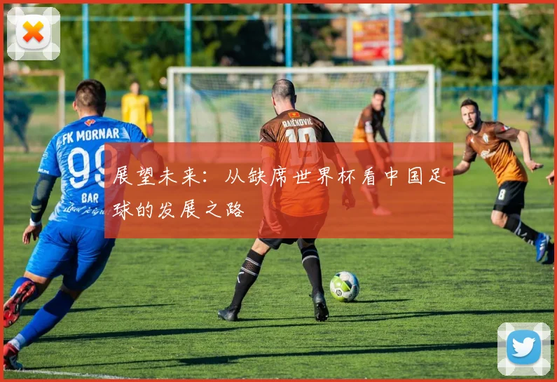 展望未来：从缺席世界杯看中国足球的发展之路