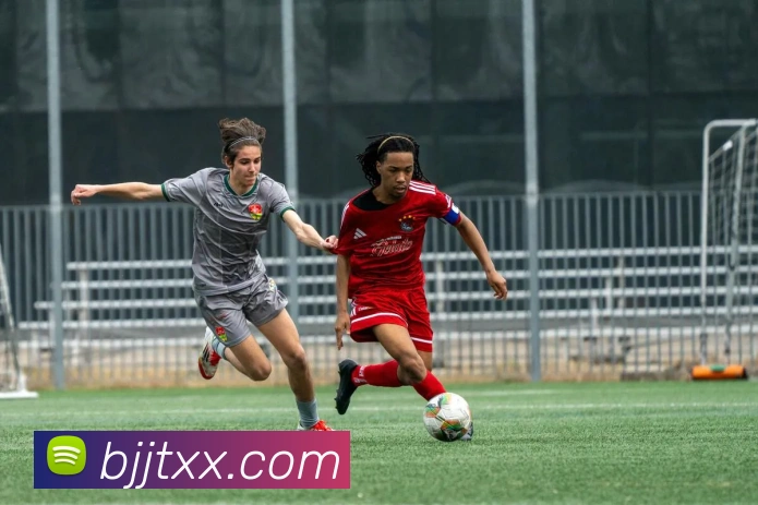 多媒体互动体验