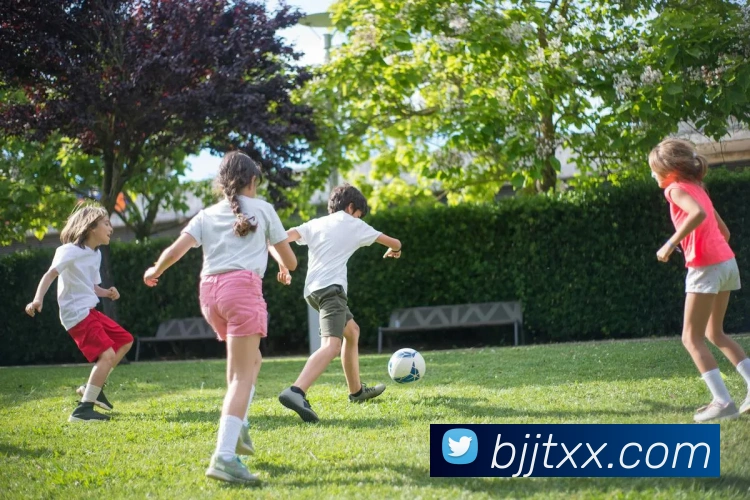 开云软件登录APP 高清赛事图